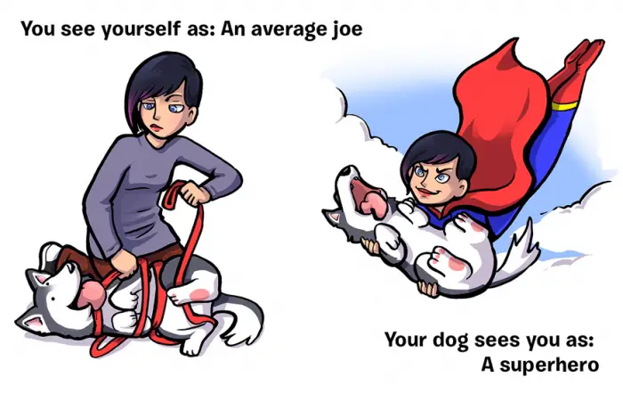 How You See Yourself vs How Your Dog Sees You (5)
